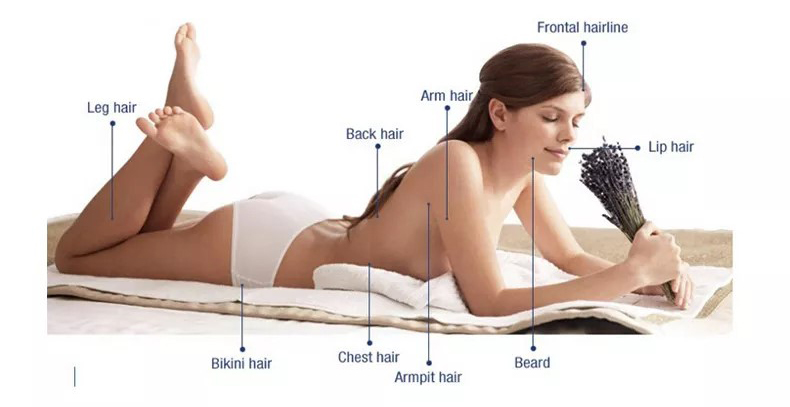 808nm Diode Laser for Hair Removal 1000W(图2)